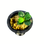 Anubias Black