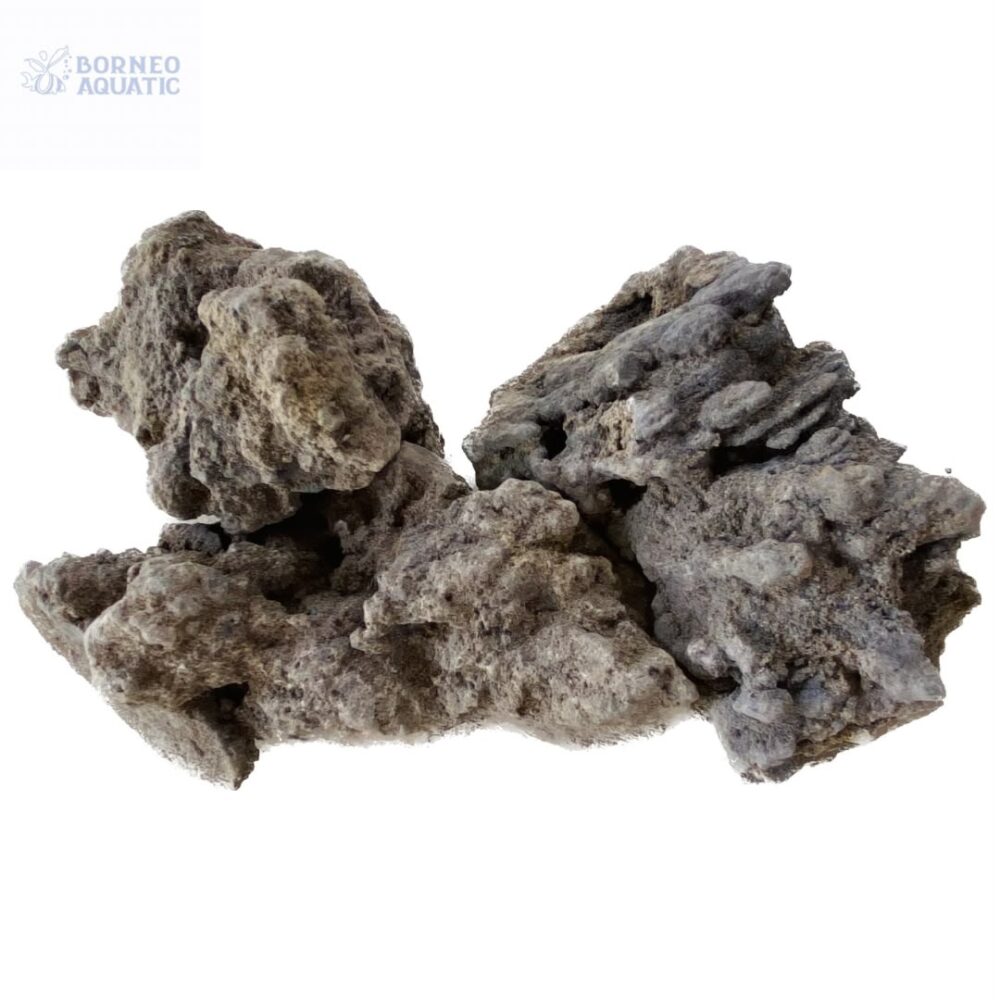 Fossil Stone