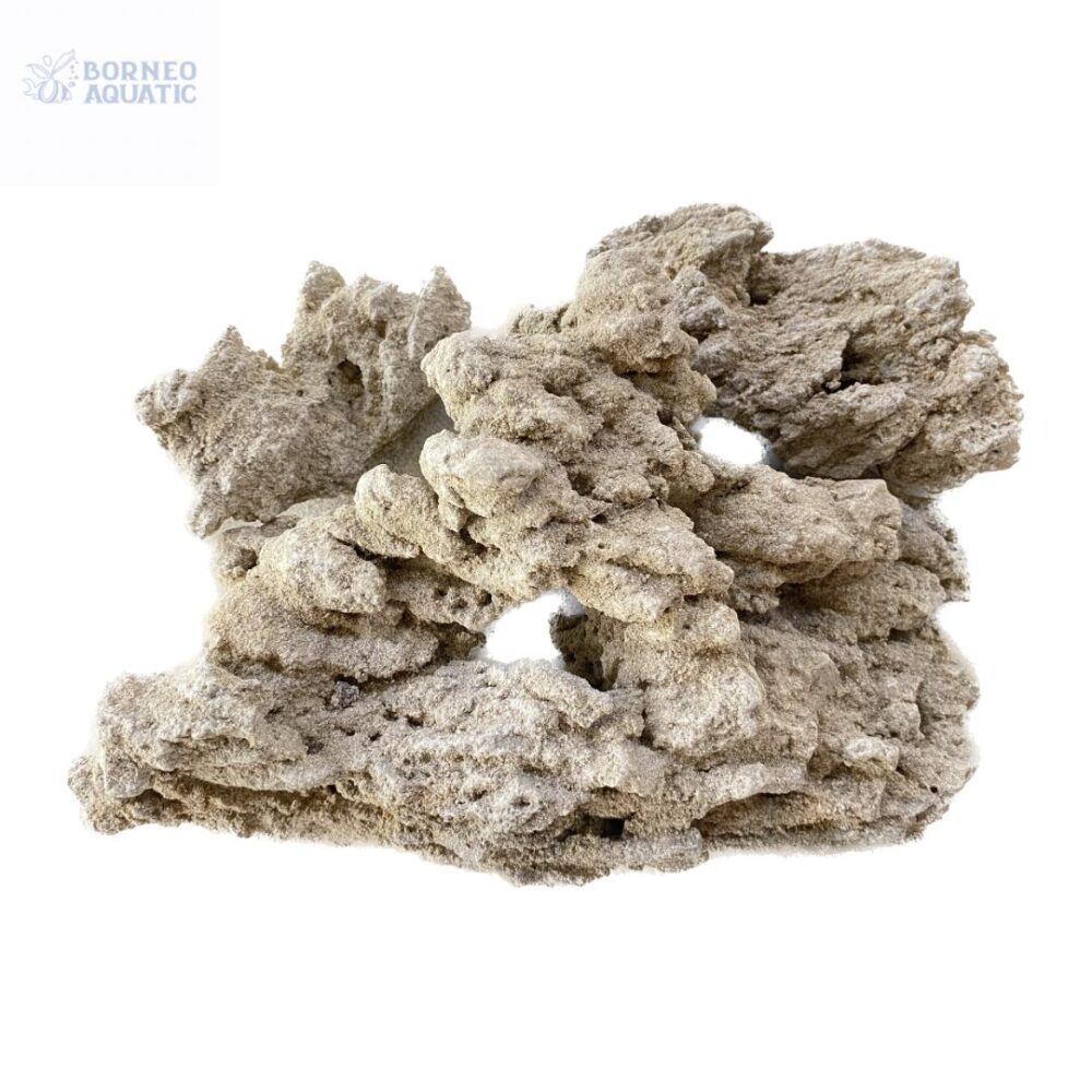 Sand Stone