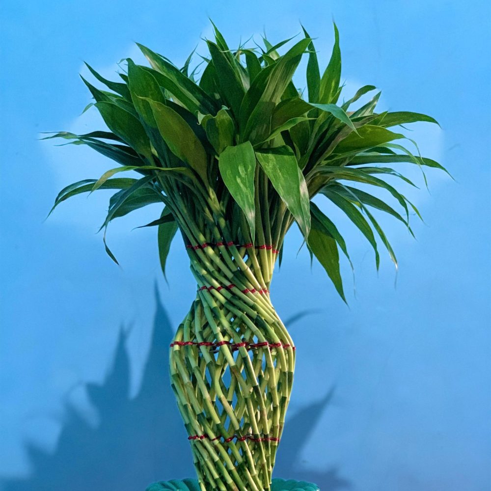 Green Jar (Size 30)