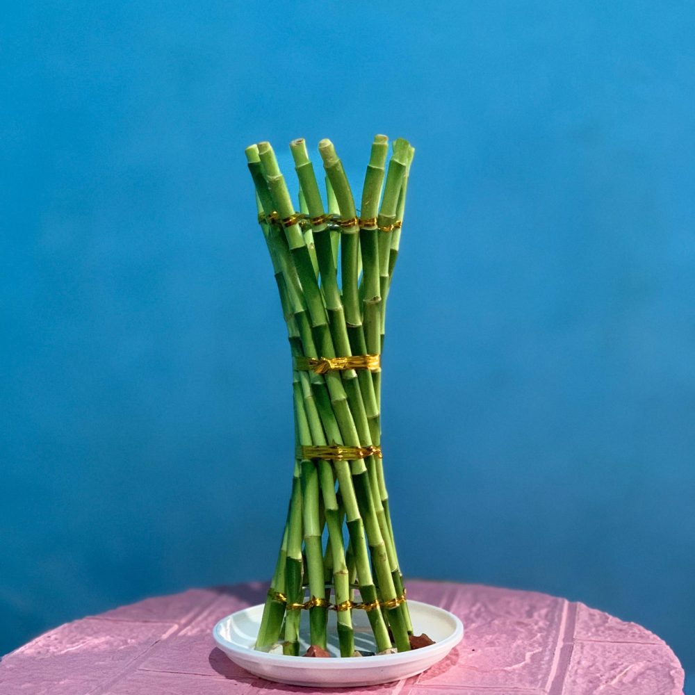 Green torch