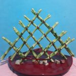 Green Pyramid