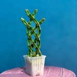 Green 8 trellis