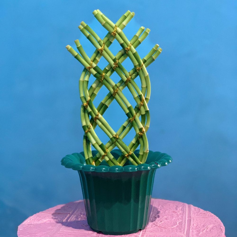 Green trellis