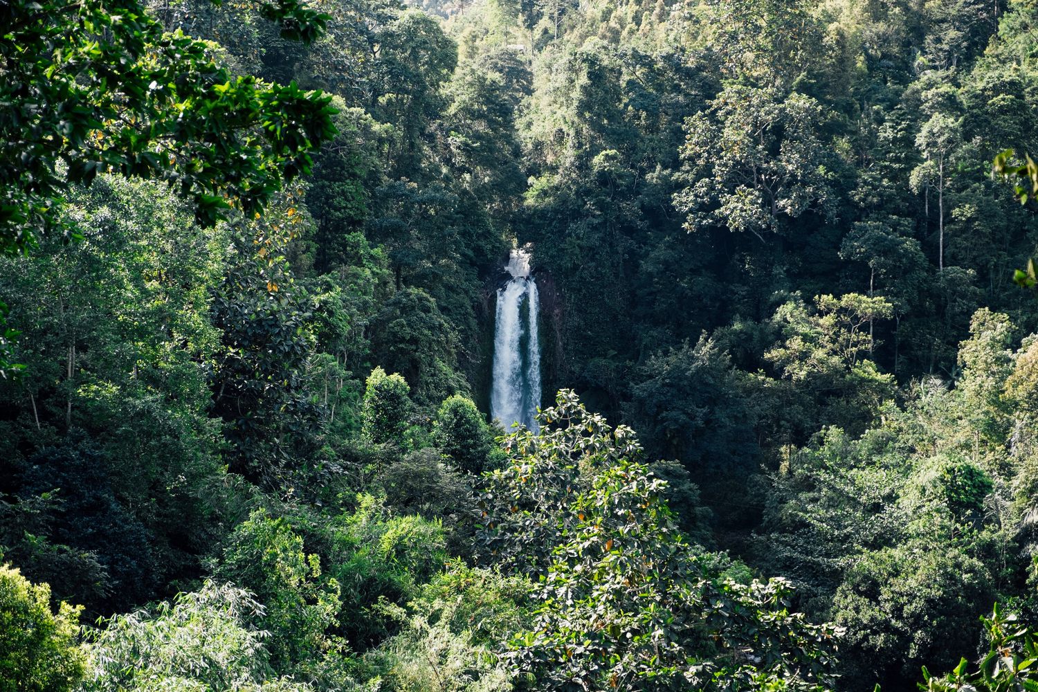 Borneo's diverse ecosystems: a world unto itself 